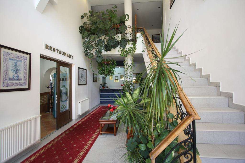 Hotel Ruia Пояна-Брашов Экстерьер фото